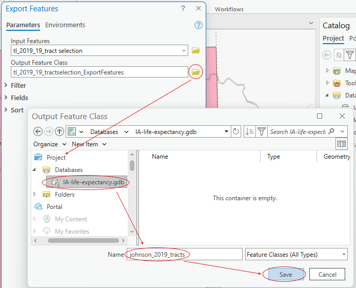 Save selected features