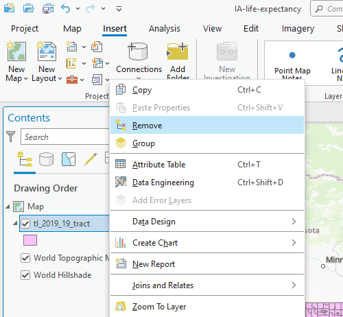 Remove a layer from the map